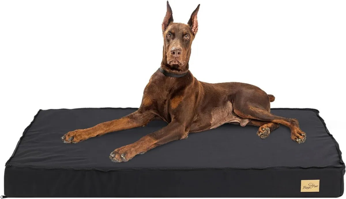 BingoPaw Cuccia Ortopedica XXL per Cani con Rivestimento Rimovibile e Lavabile