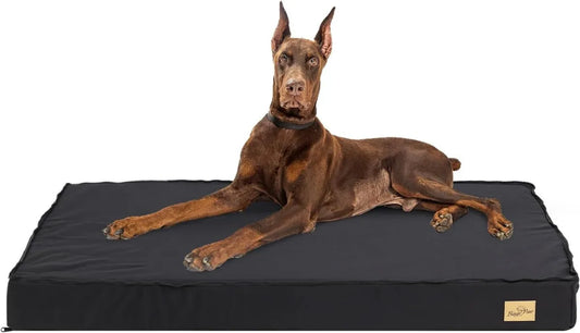 BingoPaw Cuccia Ortopedica XXL per Cani con Rivestimento Rimovibile e Lavabile